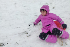 viber_image_2026-01-06_16-45-58-618