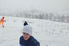 viber_image_2026-01-06_16-45-59-115