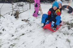 viber_image_2026-01-06_16-46-00-069