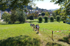 IMG_20250823_091237